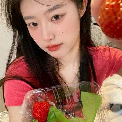 口袋喵喵果盘版下载